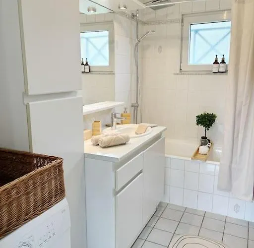 Daire La Petite Luss Colmar